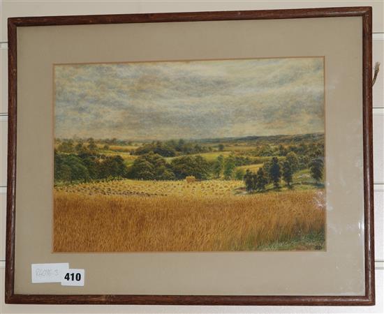 S B View of a cornfield 10 x 14in.